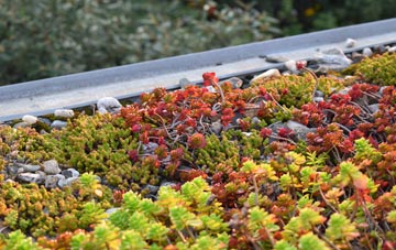 the cost of Lochslin green roof installation