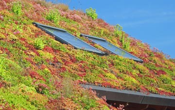 Lochslin living roof systems