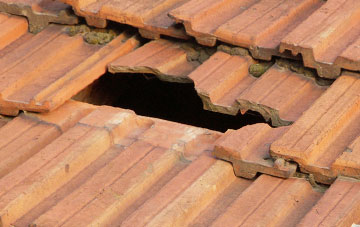 roof repair Lochslin, Highland